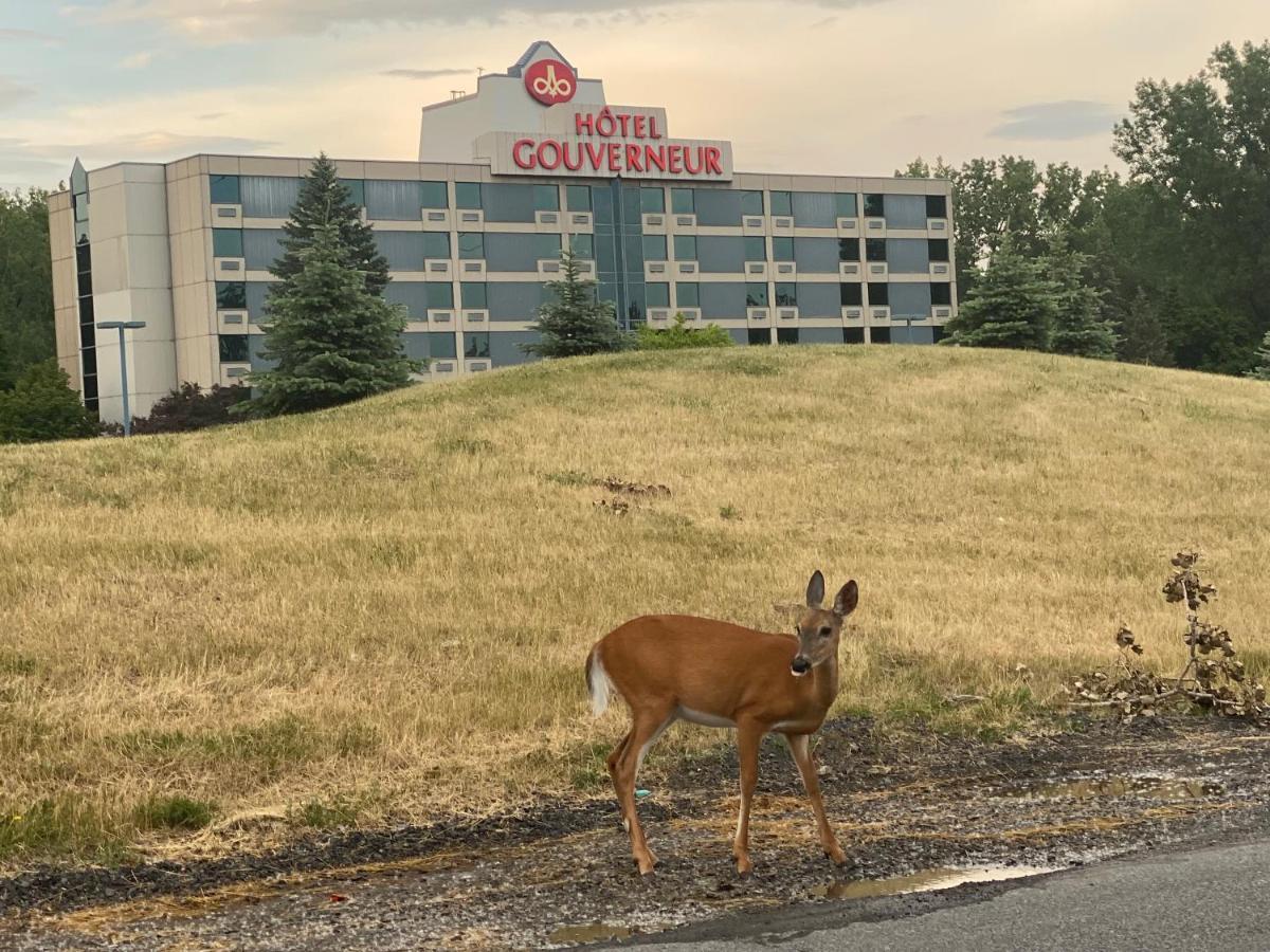 Hôtels Gouverneur Montréal - Île Charron Boucherville Esterno foto